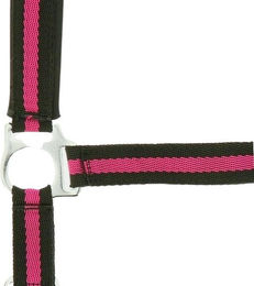 Halfter Norton Doublé néoprène – Bild 1 von 2