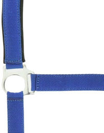 Halfter Norton Doublé néoprène – Bild 1 von 2