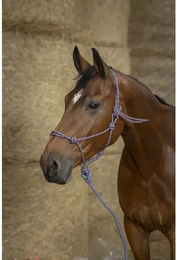 Halfter Norton Eco - 2,5 m – Bild 1 von 2