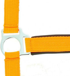 Halfter Norton Fluo – Bild 1 von 2