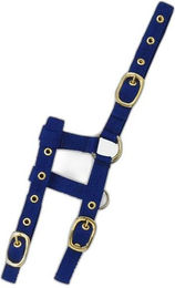 Produktbild von Halfter Norton Mini