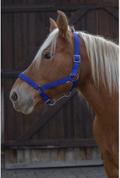 Produktbild von Halfter Norton Pro Kaltblut königsblau