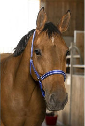 Halfter Norton Reflective – Bild 1 von 2