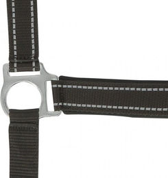 Halfter Norton Reflective – Bild 1 von 2