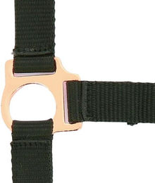 Produktbild von Halfter Norton Rose gold