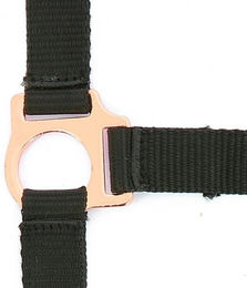 Produktbild von Halfter Norton Rose gold