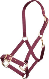 Halfter Premiere Equitation – Bild 1 von 7