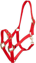 Produktbild von Halfter Premiere Equitation