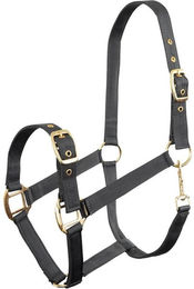 Produktbild von Halfter Premiere Equitation