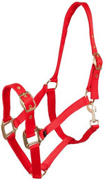 Produktbild von Halfter Premiere Equitation