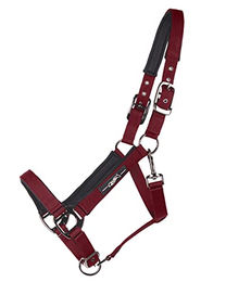 Produktbild von Halfter QHP Deluxe Pferd