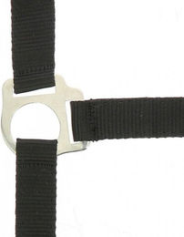 Halfter Riding World Club – Bild 1 von 2