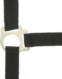 Produktbild von Halfter Riding World Club