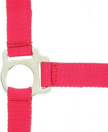 Produktbild von Halfter Riding World Club