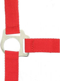 Halfter Riding World Club – Bild 1 von 3