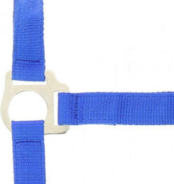 Produktbild von Halfter Riding World Club