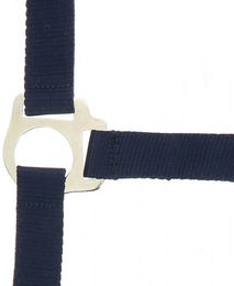 Halfter Riding World Club – Bild 1 von 2