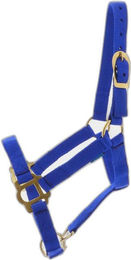 Produktbild von Halfter Schnallenverschlüsse Norton