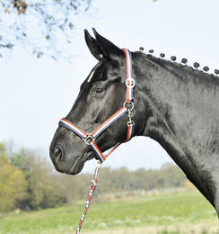 Produktbild von Halfter Supreme