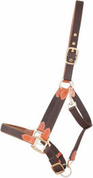 Produktbild von Halfter T de T