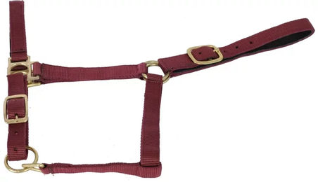 Produktbild von Halfter T de T