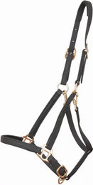 Produktbild von Halfter T de T Biotack®