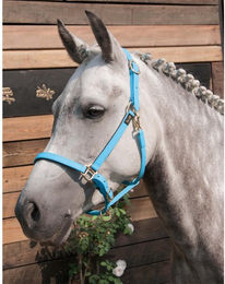 Produktbild von Halfter T de T Biotack®