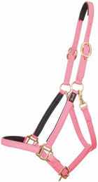 Produktbild von Halfter T de T Biotack®