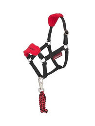 Halfter und Leine für Hobby Horse LeMieux Vogue – Bild 1 von 2