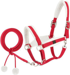 Produktbild von Halfter und Longiergurt für Pferde Equithème Xmas