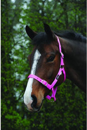 Halfter Weatherbeeta Saxon Economy – Bild 1 von 9