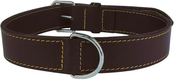 Produktbild von Halsband aus gefüttertem Leder für Hunde Zolux