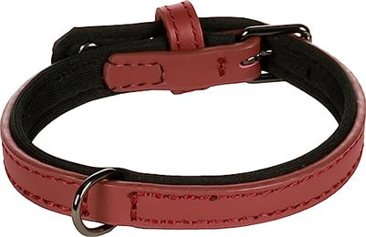 Halsband Binti rot XS 20-25 cm 10 mm – Bild 1 von 2