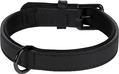 Produktbild von Halsband Binti Schwarz S/M 31-39 cm 20 mm
