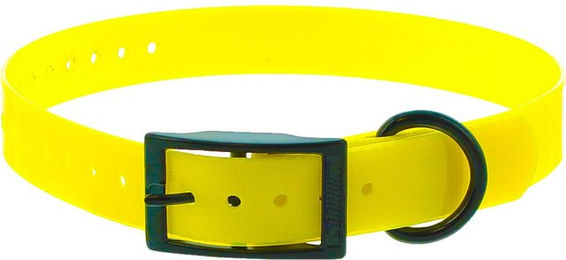 Produktbild von Halsband für Hunde aus Polyurethan mit doppelter Schnalle Canihunt Xtreme