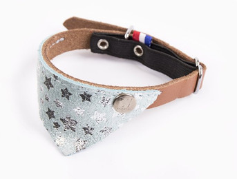 Produktbild von Halsband für Katzen Martin Sellier Miami