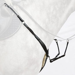 Produktbild von Halsband für Pferde aus weichem Leder Bridlery Dynamic