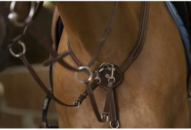 Produktbild von Halsband für Pferde Norton Pro Confort