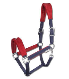 Halsband für Pony Waldhausen Island Hellnar – Bild 1 von 2