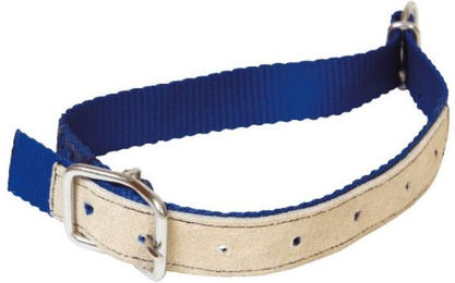 Produktbild von Halsband für Schafe aus Nylon