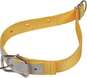 Produktbild von Halsband für Schafe aus Nylon