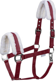 Halsband für Shetland-Ponys mit Fell Waldhausen First – Bild 1 von 2