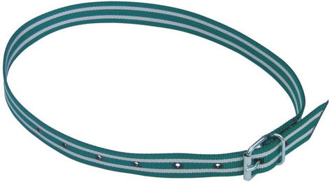 Halsband Markierungsschleife Kerbl – Bild 1 von 2