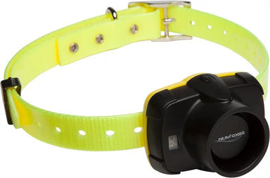 Produktbild von Halsband mit akustischer Ortung Num'axes Canibeep 5