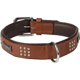 Halsband Sedona Leder mit Schmuckelementen Braun XL 47-55 cm 37 mm – Bild 1 von 2