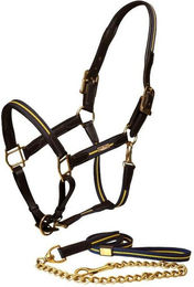 Produktbild von Halsband und Longe für Pferd aus Leder und Kette Equestrian Stockholm