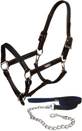 Produktbild von Halsband und Longe für Pferd aus Leder und Kette Equestrian Stockholm
