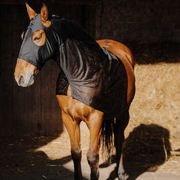 Produktbild von Halsdecke für Pferde aus Lycra/Mesh Equithème 0g