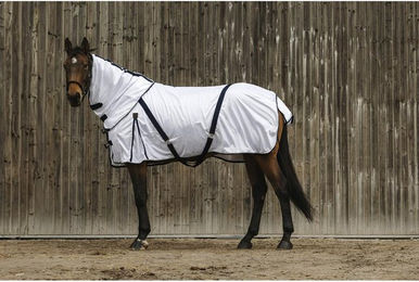 Produktbild von Halsdecke für Pferde Equithème