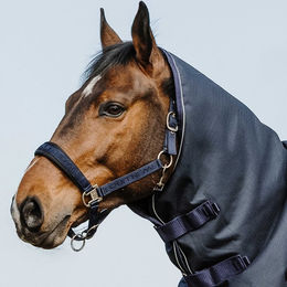 Produktbild von Halsdecke für Pferde Equithème Anatomic 1200D 200g